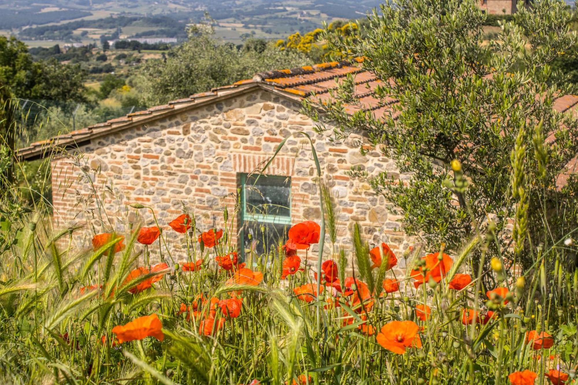 Agriturismo Dandelion Villa Città della Pieve Exterior foto